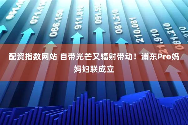 配资指数网站 自带光芒又辐射带动！浦东Pro妈妈妇联成立